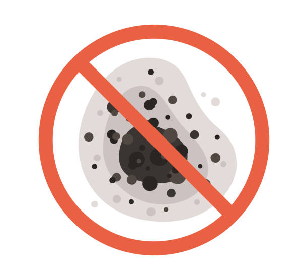 Tuttle, OK Mold Removal Company