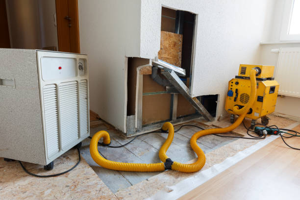 Mold Odor Removal Services in Tuttle, OK
